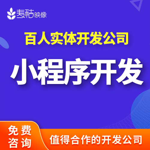 小程序开发定制作点餐订饭电商盲盒答题社交医疗跑腿家政教育