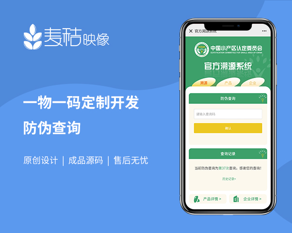 麥秸映像IT開發(fā)-微信/小程序/app