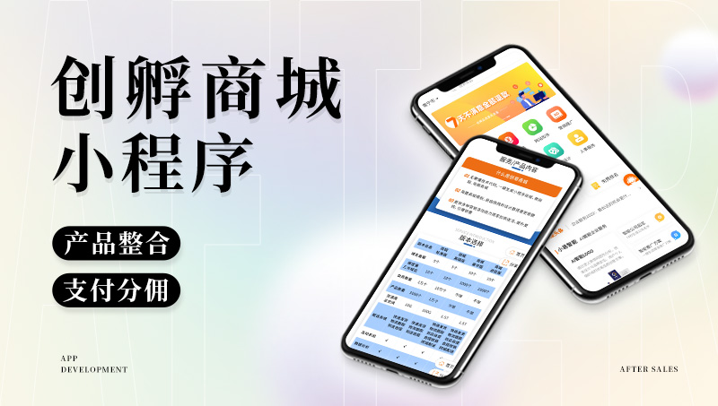 易术家网站小程序APP软件开发