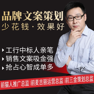 品牌故事品牌廣告語(yǔ)品牌宣傳手冊(cè)產(chǎn)品包裝文案詳情頁(yè)文案品牌策劃
