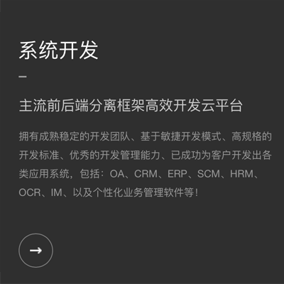 企业级管理软件开发