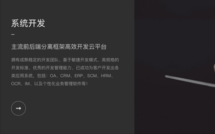 企業(yè)級管理軟件開發(fā)