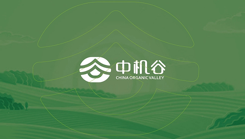 logo设计企业公司品牌图标商标logo商标包装画册设计