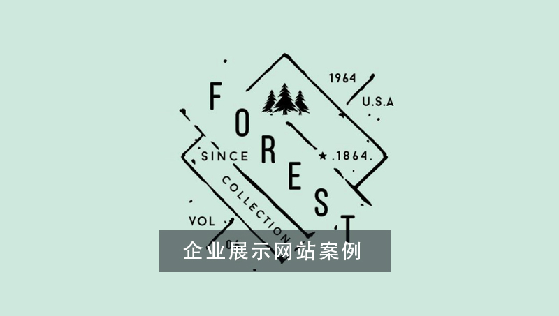 企業(yè)品牌中英文網(wǎng)站建設(shè)案例開發(fā)制作外貿(mào)