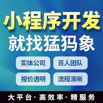 微信小程序定制開發(fā)外包陪診醫(yī)療教育家政外賣電商商城