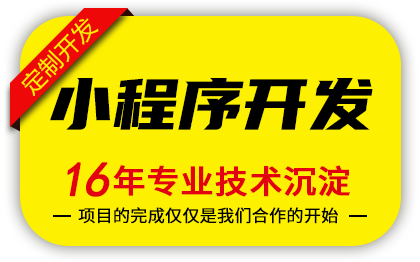 16年专注开发经验--E网天下