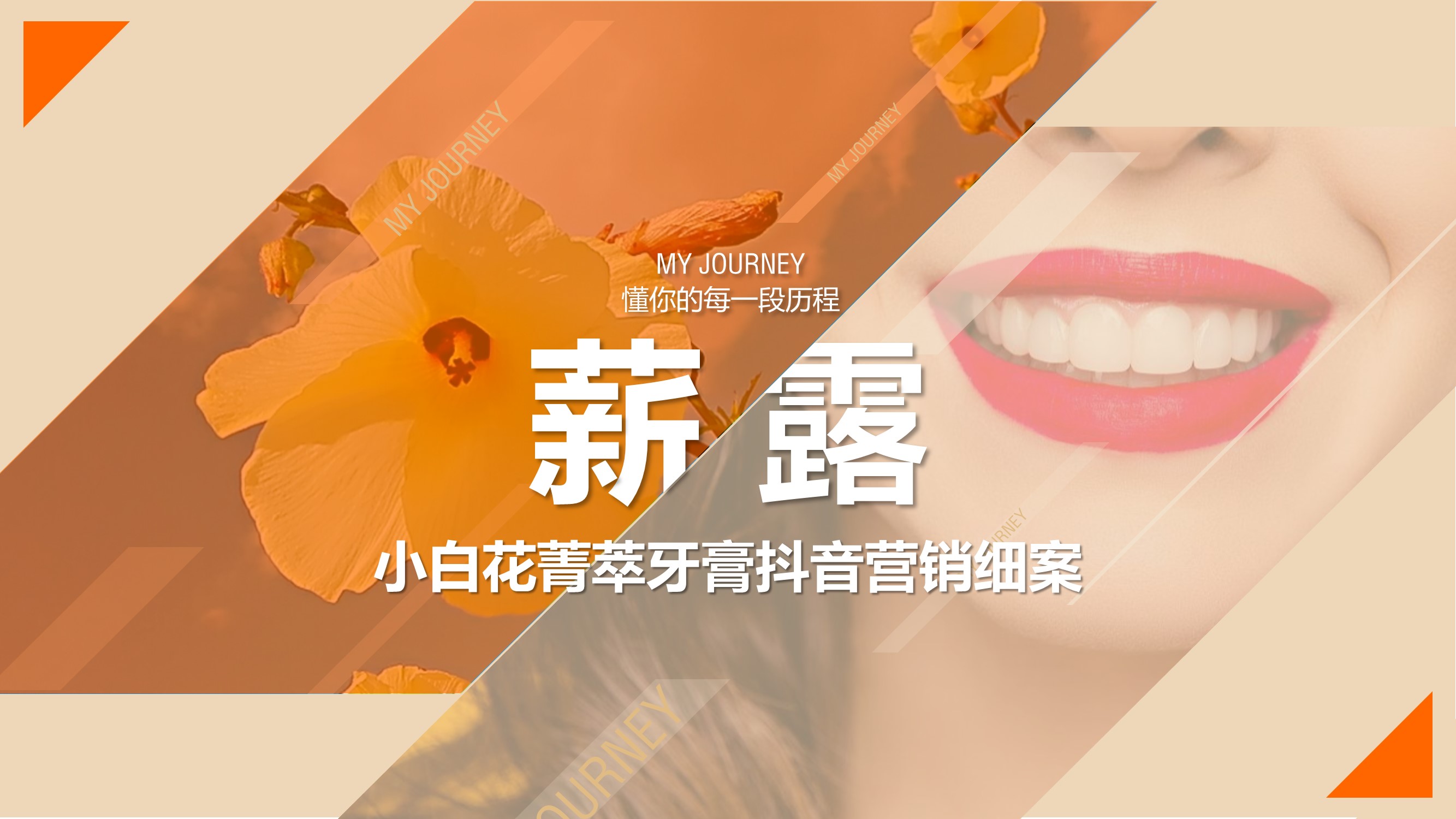 貍叔咨詢