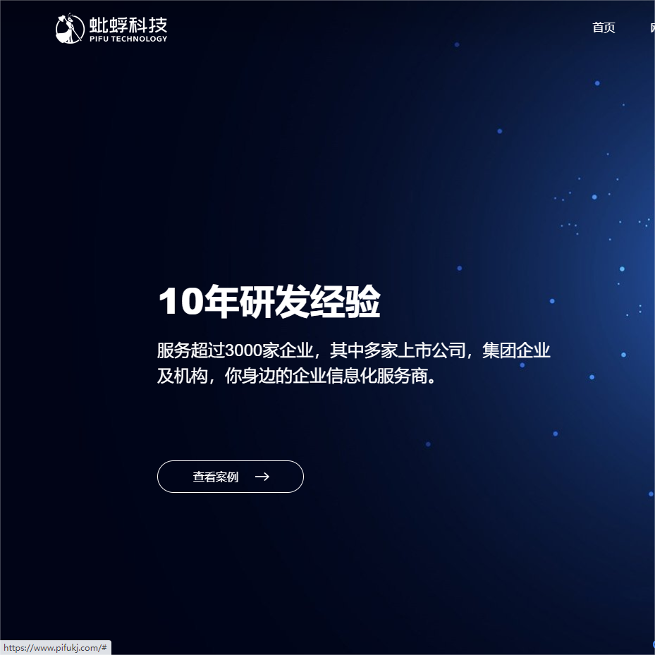 企業(yè)品牌官網(wǎng)建設(shè)，極速開發(fā)、急速上線，讓你的品牌更出眾！