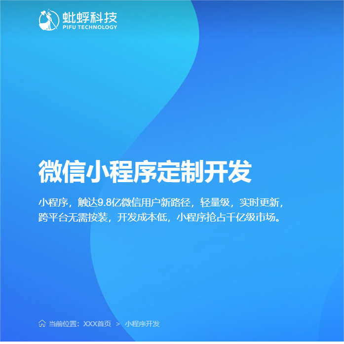 高級定制！高端網(wǎng)站程序源碼開發(fā)，個性化小程序定制！
