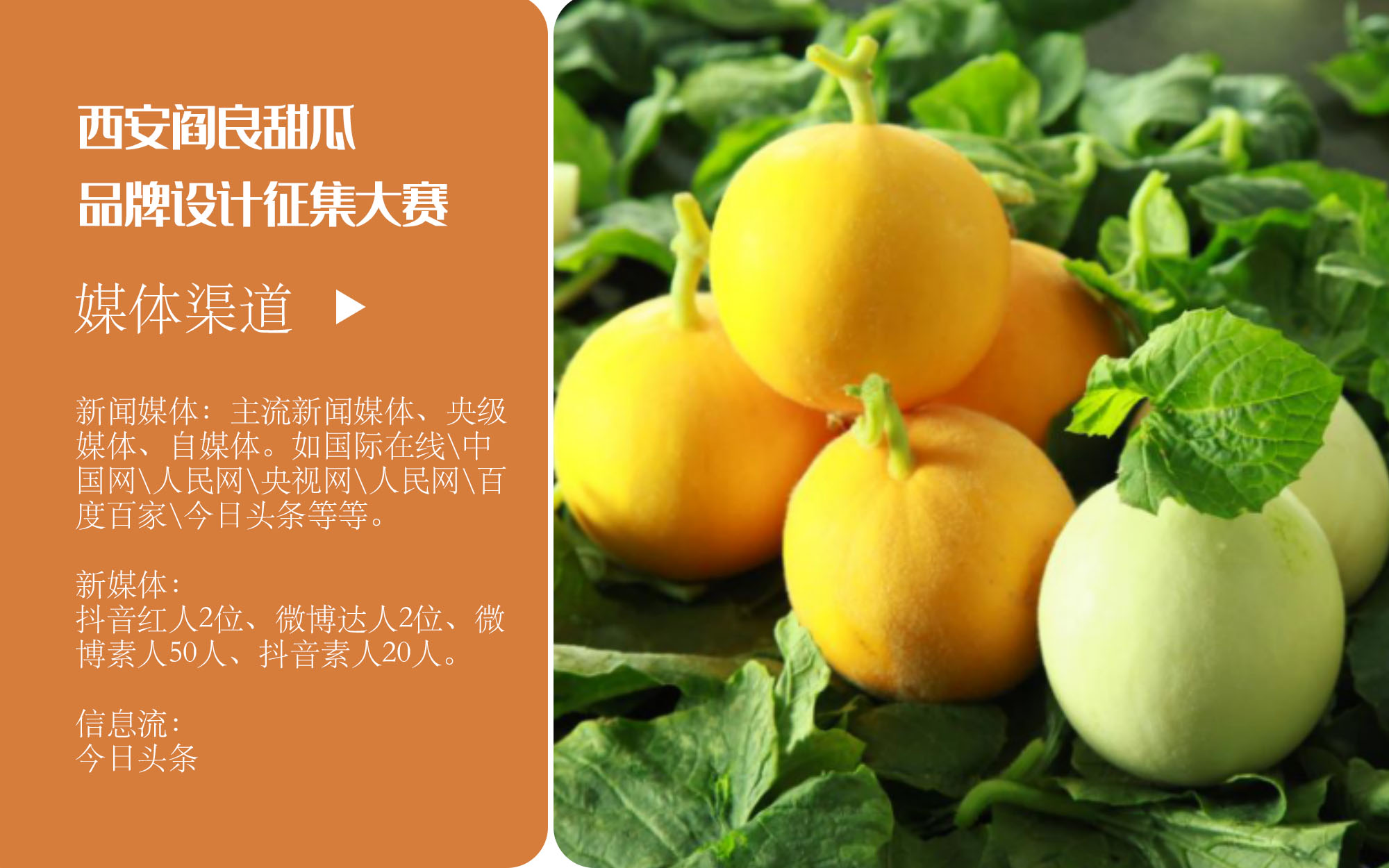 晏力十年專注營銷