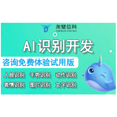 AI人工智能文字图片OCR手势姿态识别开发定制