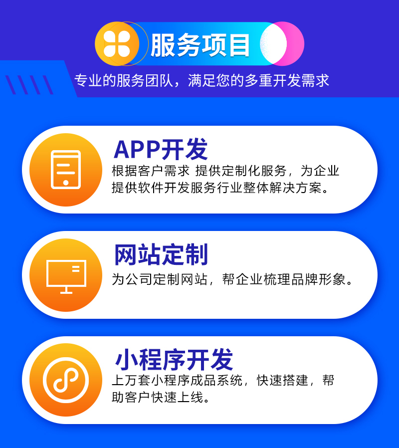 app软件专业开发