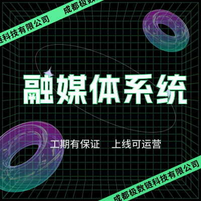 融媒體OA/ERP/MES/CRM系統(tǒng)可視化開發(fā)