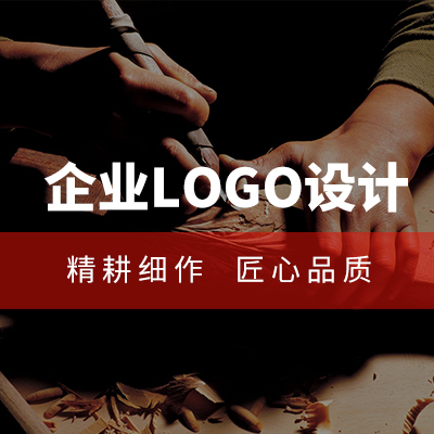 企業(yè)品牌LOGO視覺VI品牌形象規(guī)范識(shí)別系統(tǒng)