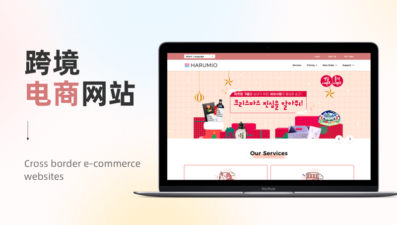 企业官网定制电商网站海外境外网站信息服务响应式网站