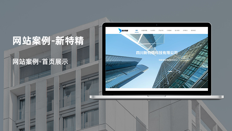 網(wǎng)站案例-新特精