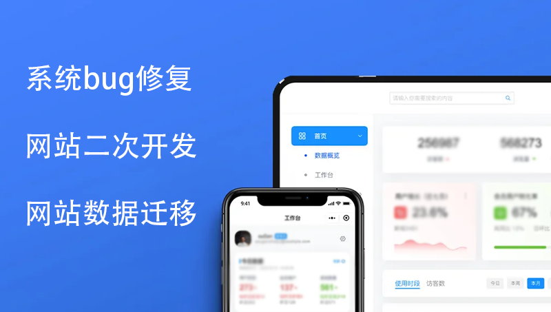 網(wǎng)站bug修復(fù)