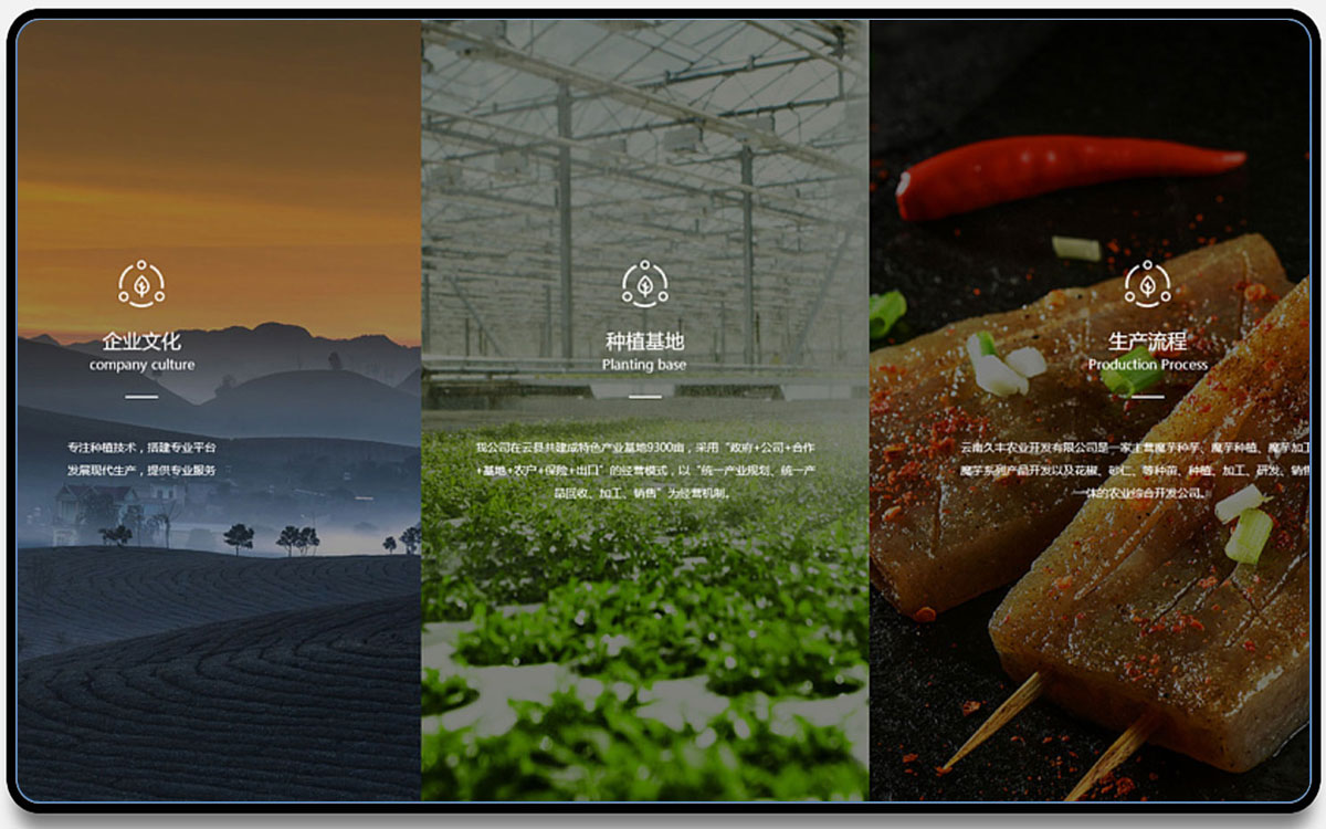 光荣网络光荣文创