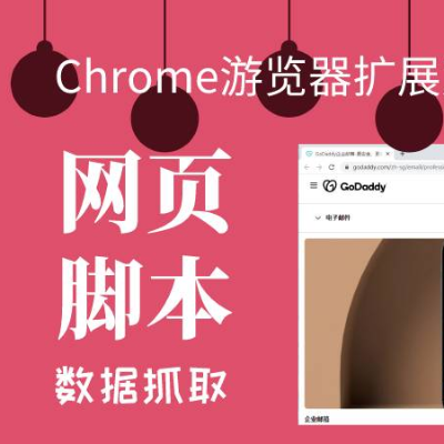 Chrome游览器扩展自动输入脚本定制开发数据抓取