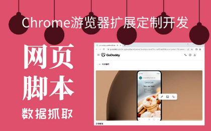 Chrome游览器扩展自动输入脚本定制开发数据抓取