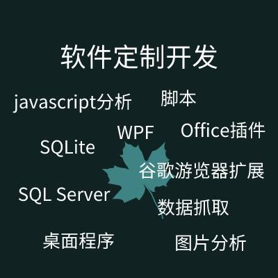 定制開發(fā)C# WPF Javascript分析 控件