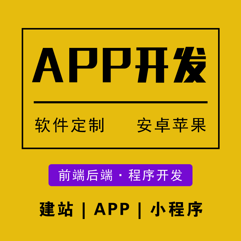 雷迪小程序軟件網(wǎng)站開發(fā)