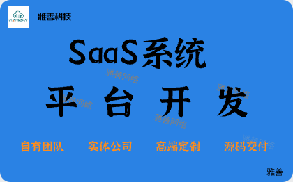 <hl>SaaS</hl>系統(tǒng)軟件開發(fā)/<hl>SAAS</hl>