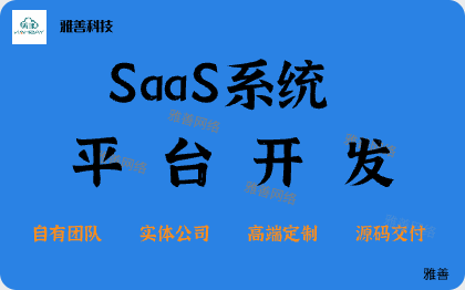 SaaS系统软件开发/SAAS