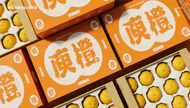 赣南庾橙包装视觉方案水果包装农产品包装平面包装插画包装