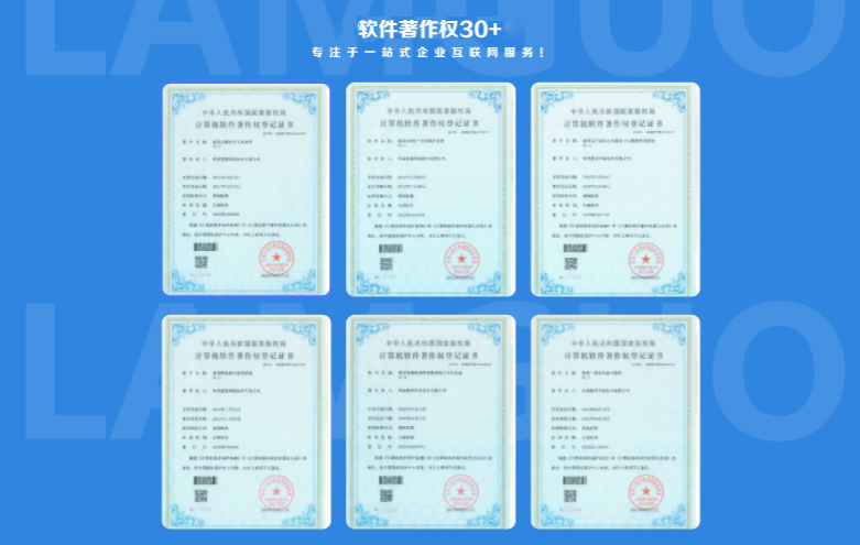 藍果網(wǎng)絡(luò)10年開發(fā)經(jīng)驗百人團隊