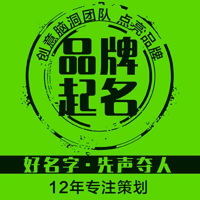 公司企業(yè)品牌包裝宣傳廣告語故事文化簡介紹文案策劃撰寫定位