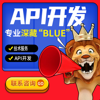 API开发技术服务API