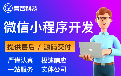 安徽高智网络科技有限公司