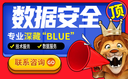数据安全服务漏洞扫描检测风险安全动静态加密备份