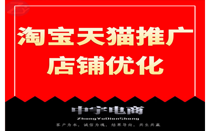 淘宝天猫店铺推广爆款打造数据运营维护提升推广电商