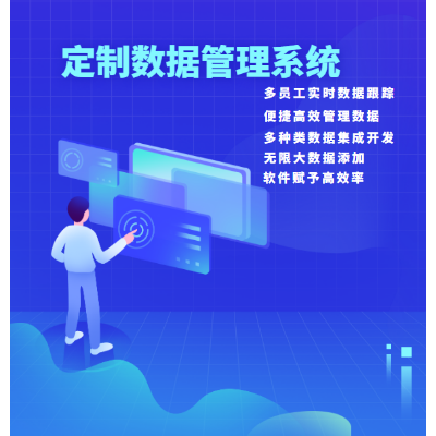 数据管理系统定制开发