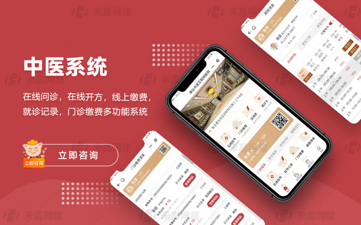 禾高网络科技-国家企业-专注研发15年