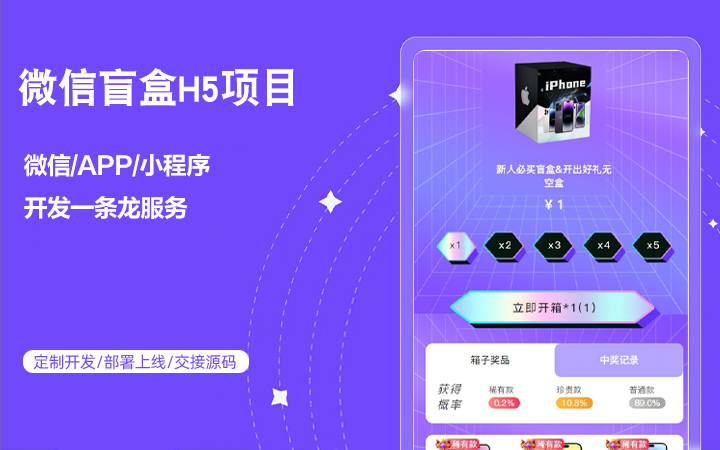赤辰-13年定制二開技術(shù)團(tuán)隊