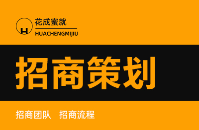 产品品牌企业**招商项目策划商业计划书PPT方案撰写