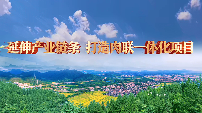 红庆河打造肉联一体化项目