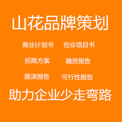 文案商業(yè)計劃書策劃書招商項目路演方案可行性研究報告