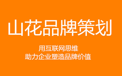 文案商业计划书策划书招商项目路演方案可行性研究报告