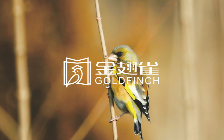 圣熙品牌設(shè)計-7年實體店