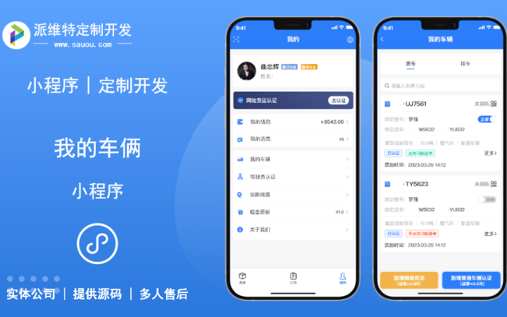 派维特定制开发