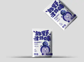 野生蓝莓果干食品包装设计