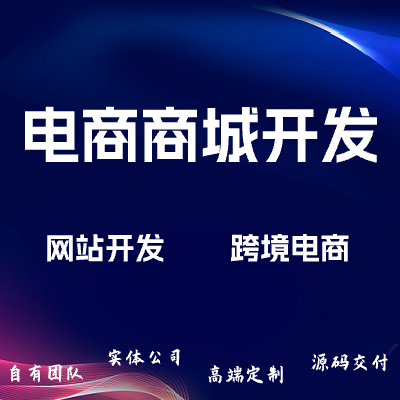 网站定制开发/电商网站开发/跨境电商/教育网站/医疗网站