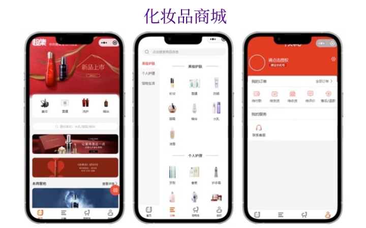 网联软件开发