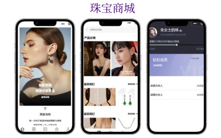 网联软件开发
