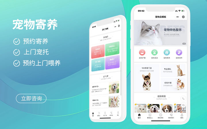 匠通科技-10年專注互聯(lián)網(wǎng)開發(fā)-豬八戒行業(yè)之星