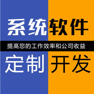 定制软件、提供解决方案